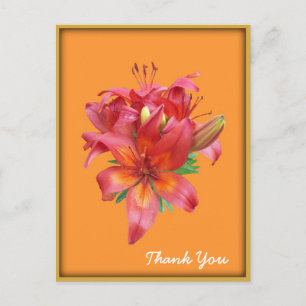 Blume der Orangenen Tageslilie Postkarte