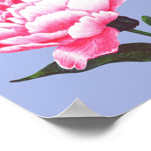 Blume der Peony Illustration Pen Zeichnend Poster (Ecke)