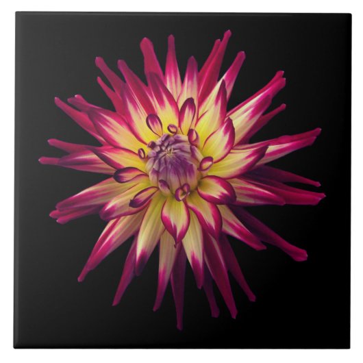 Blume der phantastischen Farbkombination Fliese (Vorderseite)