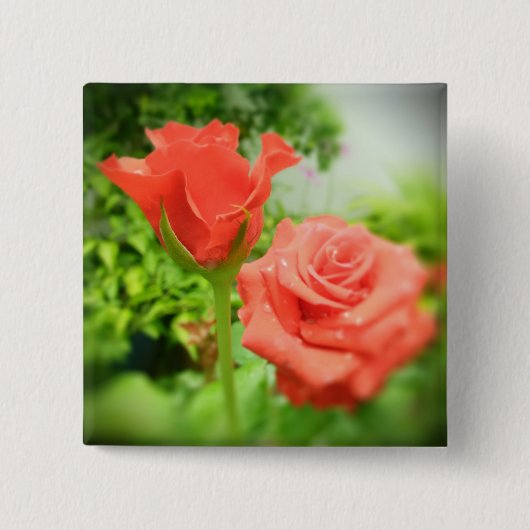 Blume der romantischen Rose Button (Vorderseite)