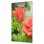 Blume der romantischen Rose Klemmbrett (Links)
