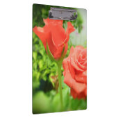 Blume der romantischen Rose Klemmbrett (Rechts)