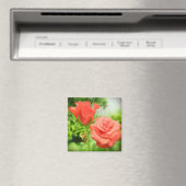 Blume der romantischen Rose Magnet (In Situ (Geschirrspüler))