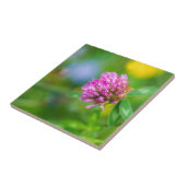 Blume der rosa Klee Fliese (Seite)