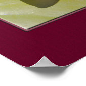 Blume der Rosa Wasserlilie Nah-up-Foto Poster (Ecke)