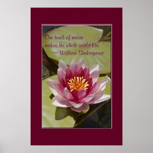 Blume der Rosa Wasserlilie Nah-up-Foto Poster (Vorne)