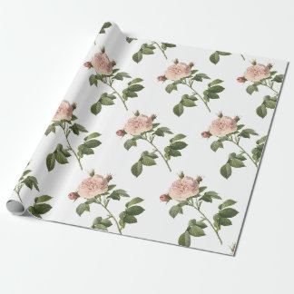 Blume der Rose Geschenkpapier