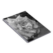 Blume der Rose in BW Notizblock (Rechte Seite)