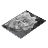 Blume der Rose in BW Notizblock (Linke Seite)