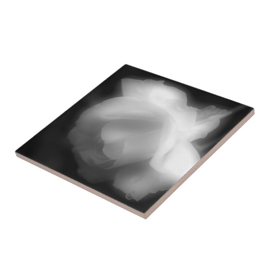 Blume der Rose in Schwarzweiß Fliese (Seite)