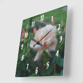 Blume der Rose Quadratische Wanduhr (Winkel)