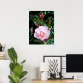 Blume der Rose, Rosa Rosa Poster (Heimbüro)