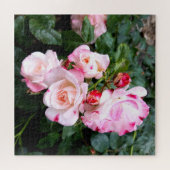 Blume der Rose, Rosa Rosa Puzzle (Horizontal)