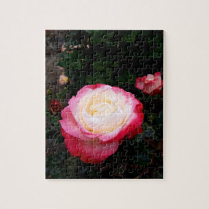 Blume der Rose, Rosa Rosa Puzzle