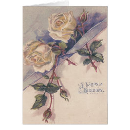 Blume der Rose White Rose