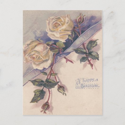 Blume der Rose White Rose Postkarte (Vorderseite)