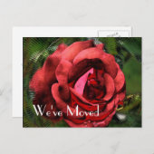 Blume der rote Rose Design neue Adresse Ankündigungspostkarte (Vorne/Hinten)