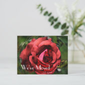 Blume der rote Rose Design neue Adresse Ankündigungspostkarte (Stehend Vorderseite)