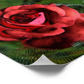 Blume der rote Rose in blühender Abstrakter Kunst Poster (Ecke)