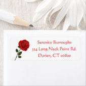 Blume der Rote Rose Liebe (Insitu)