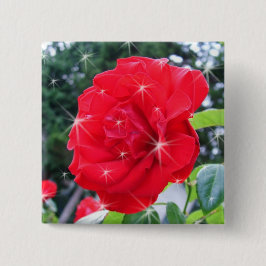 Blume der rote Rose mit Sternen Button