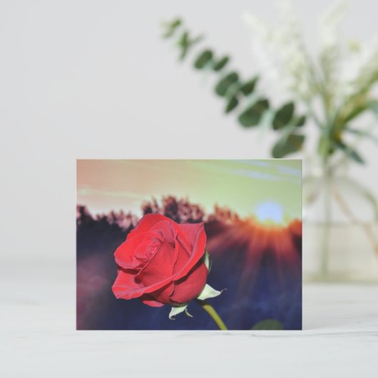Blume der rote Rose Postkarte (Stehend Vorderseite)