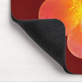 Blume der Roten Moos-Rose auf der Maus-Pad gedruck Mousepad (Ecke)