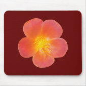 Blume der Roten Moos-Rose auf der Maus-Pad gedruck Mousepad (Vorne)