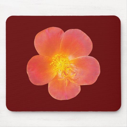 Blume der Roten Moos-Rose auf der Maus-Pad gedruck Mousepad (Vorne)