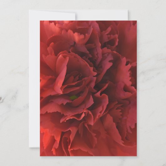 Blume der Roten Narbe - Gedenkfeier Einladung