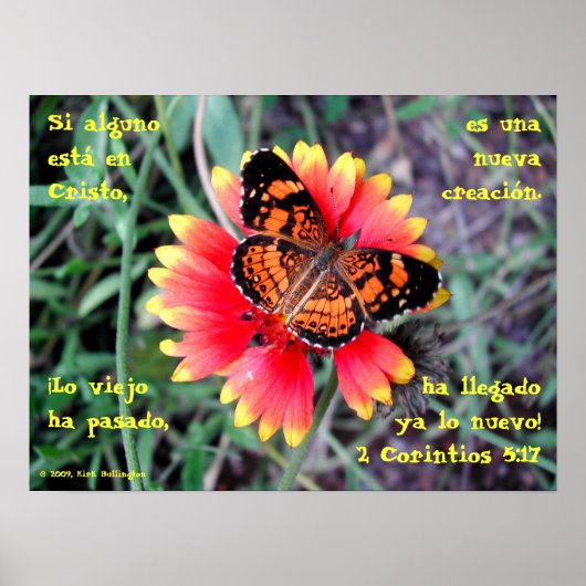 Blume der Schmetterlinge—2 Korintios 5:17 Poster (Vorne)