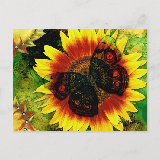 Blume der Schmetterlinge Postkarte (Vorderseite)