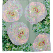 Blume der Schönheit