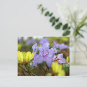 Blume der schottischen Highlands Postkarte (Stehend Vorderseite)