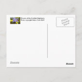 Blume der schottischen Highlands Postkarte (Rückseite)