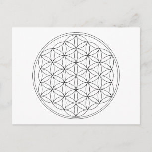 Blume der schwarzen Linie Postkarte