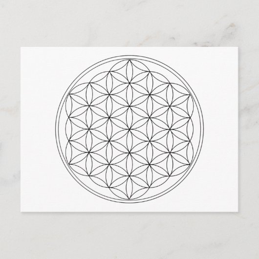 Blume der schwarzen Linie Postkarte (Vorderseite)