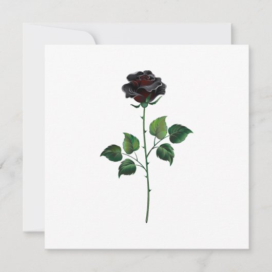 Blume der schwarzen Rose Ankündigung (Vorderseite)