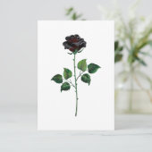 Blume der schwarzen Rose Ankündigung (Stehend Vorderseite)