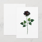 Blume der schwarzen Rose Ankündigung (Vorne/Hinten)