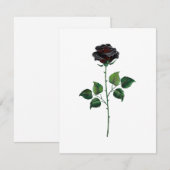 Blume der schwarzen Rose Ankündigung (Vorne/Hinten)