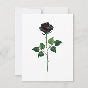 Blume der schwarzen Rose Ankündigung