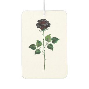 Blume der schwarzen Rose Autolufterfrischer