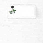 Blume der schwarzen Rose Banner (InSitu)