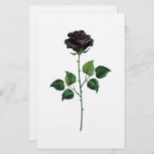 Blume der schwarzen Rose Briefpapier (Vorne/Hinten)