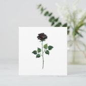 Blume der schwarzen Rose Dankeskarte (Stehend Vorderseite)