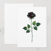 Blume der schwarzen Rose Dankeskarte (Vorne/Hinten)