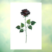 Blume der schwarzen Rose Fensteraufkleber (Blatt 3)