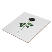 Blume der schwarzen Rose Fliese (Seite)