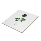 Blume der schwarzen Rose Fliese (Seite)